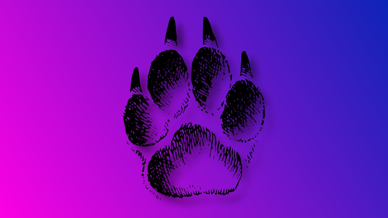 How to Draw a Dog Paw cover