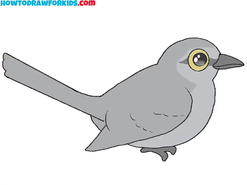 8 mockingbird drawing guide W141q2