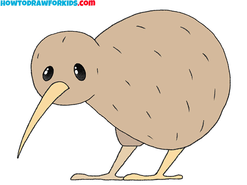 9 kiwi bird drawing guide 87djsg