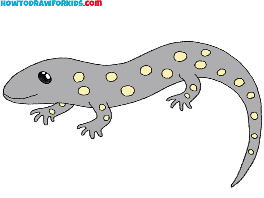 8 how to draw a baby salamander NqUqvj