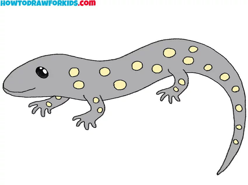 8 how to draw a baby salamander NqUqvj