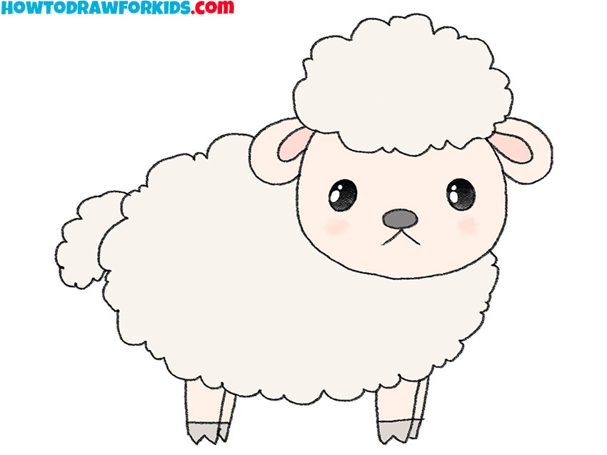 9 easy sheep drawing tutorial 6e2ccV