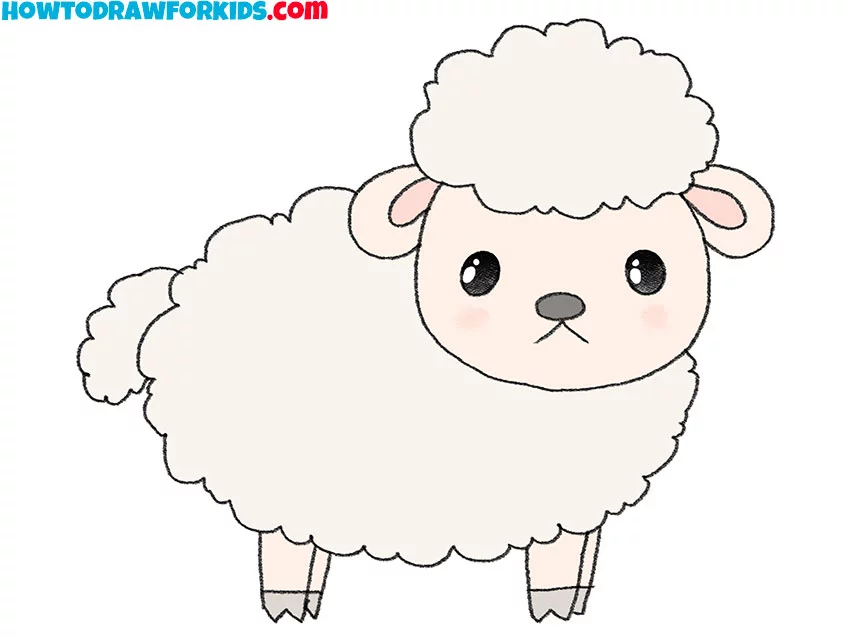 9 easy sheep drawing tutorial 6e2ccV