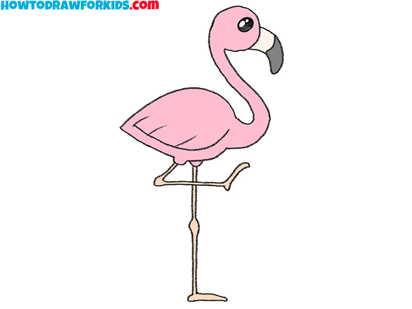 9 how to draw a cute baby flamingo mqnziO