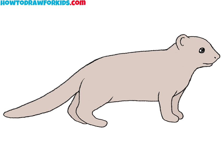 9 mongoose drawing guide aKDDUs