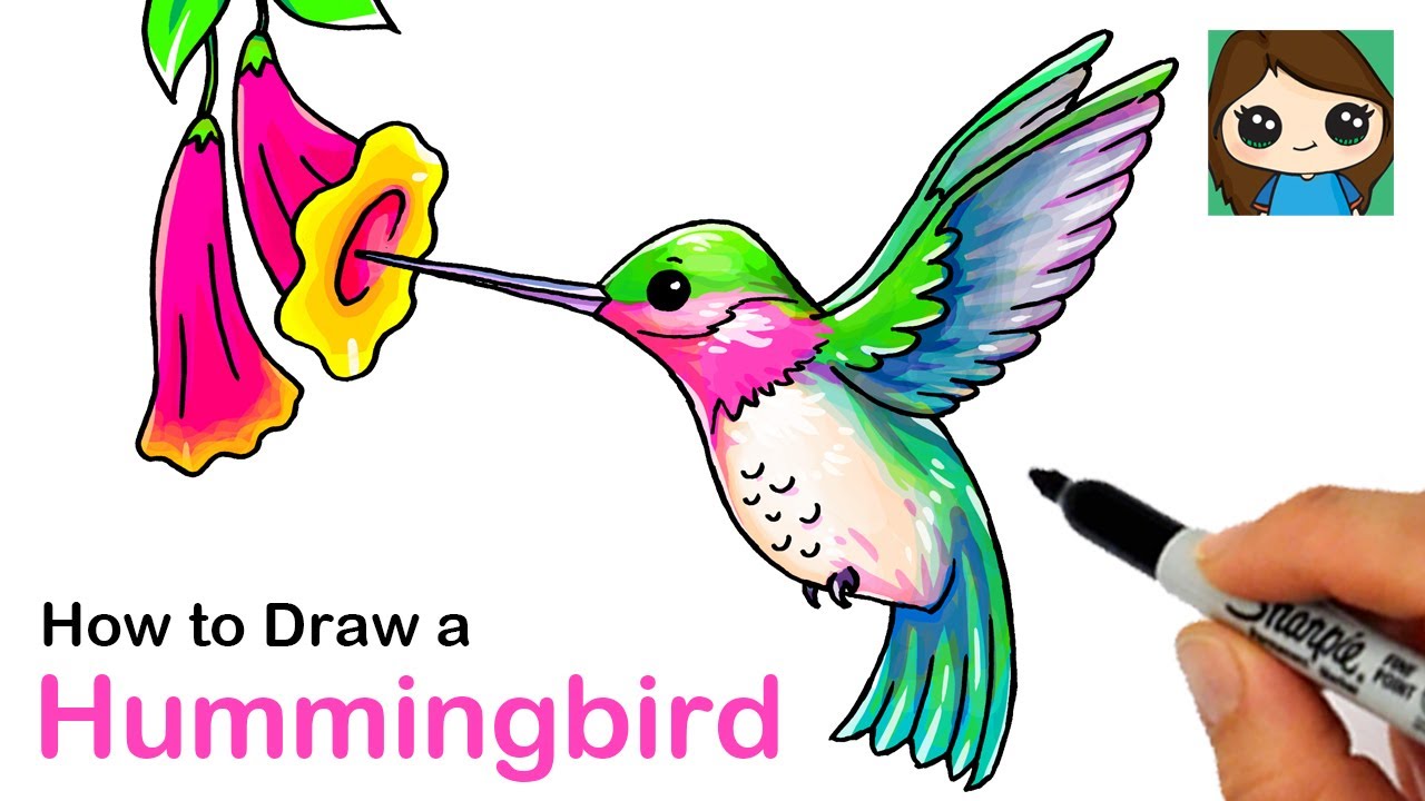 how to draw