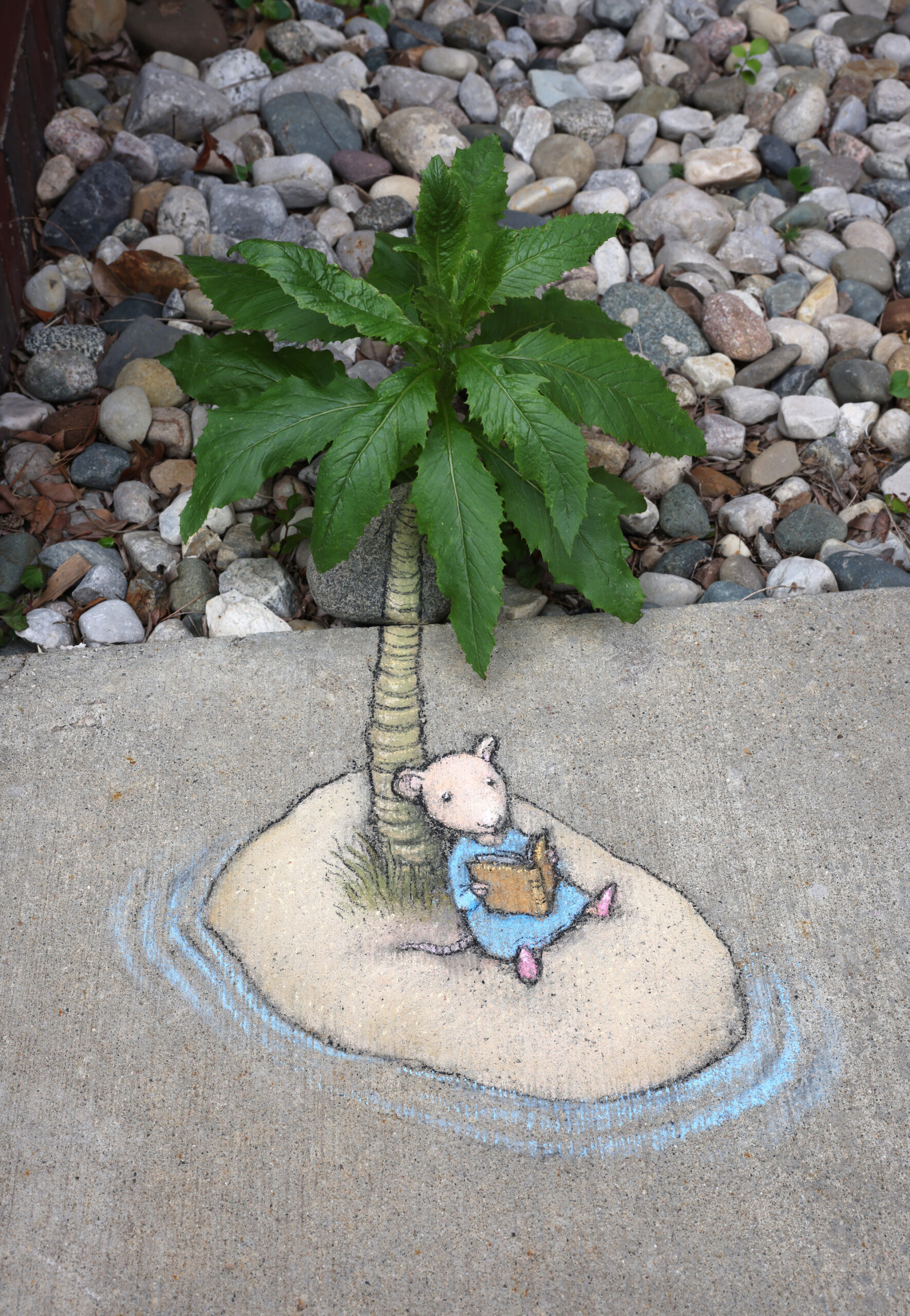 nadine private island by david zinn scaled o6q1Cw