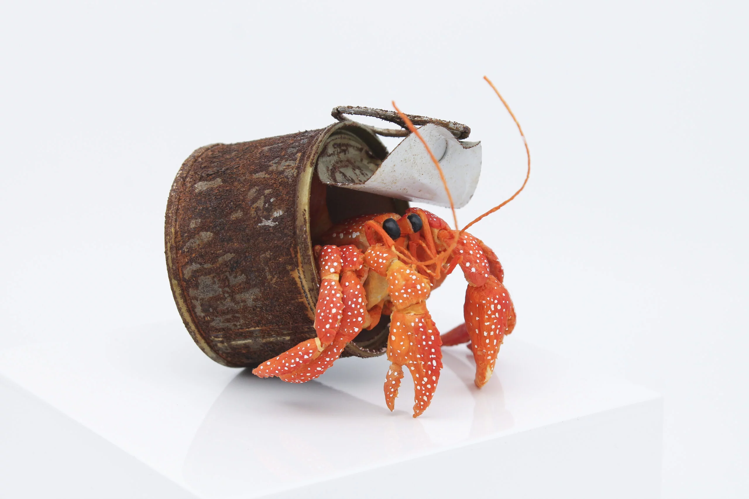 TinaKraus PaperLifeOcean 14 scaled uFQiQV
