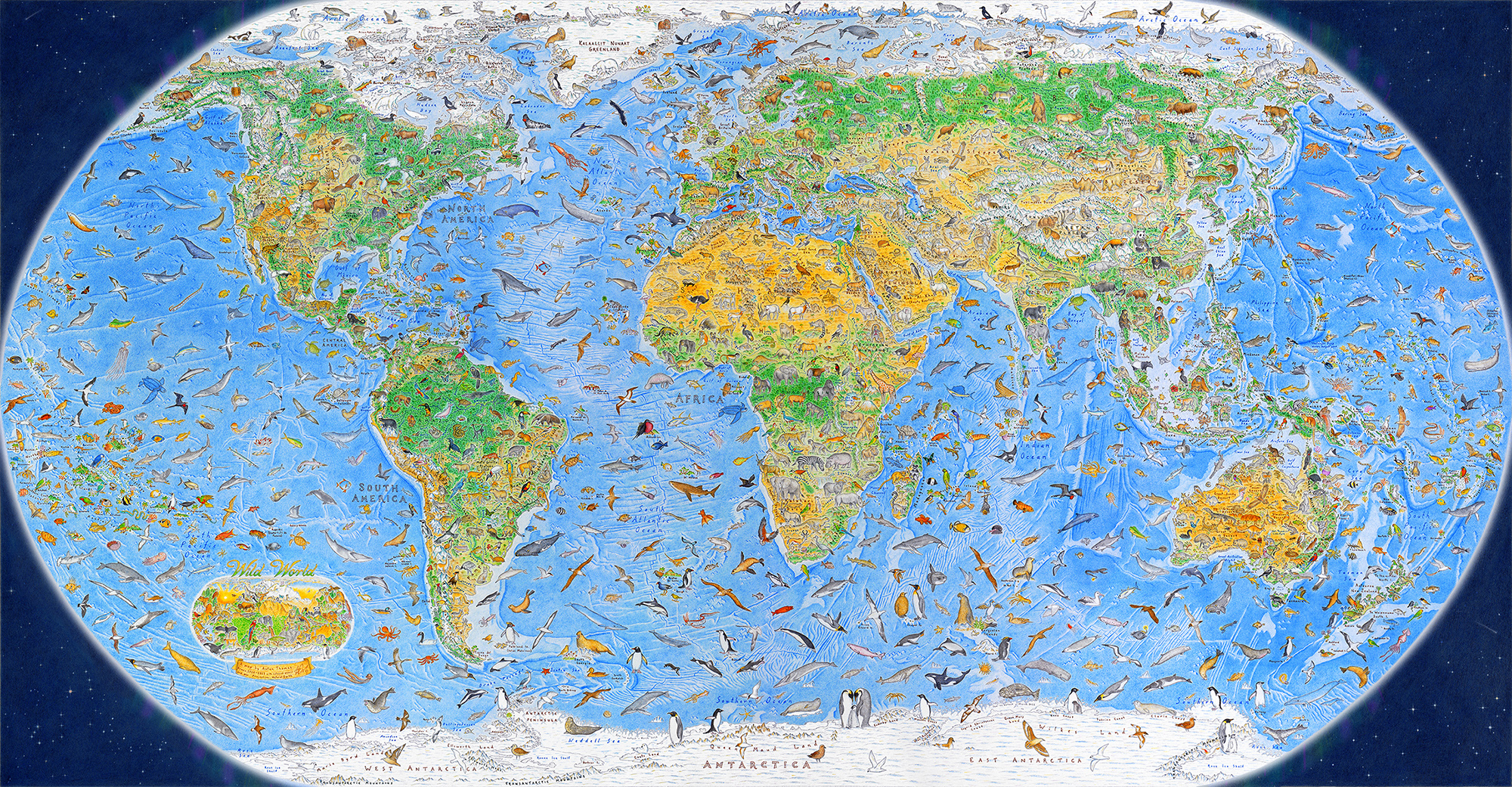 Wild World map Anton Thomas Art cartographer