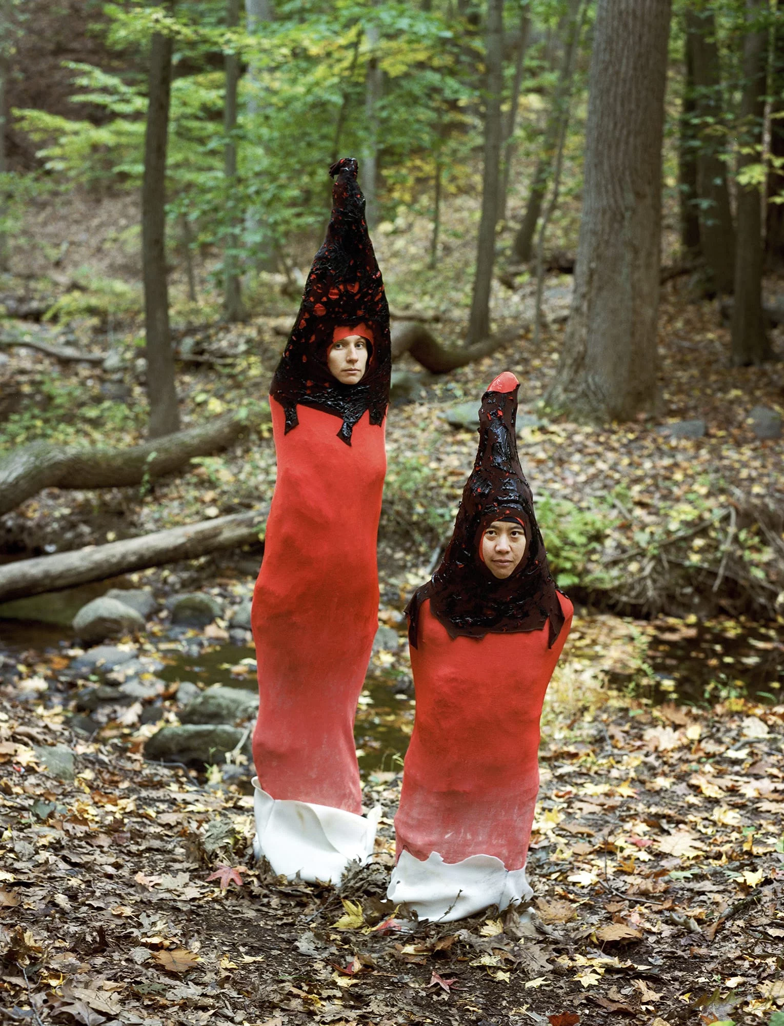 dog stinkhorns annie collinge riitta ikonen pVNgWG