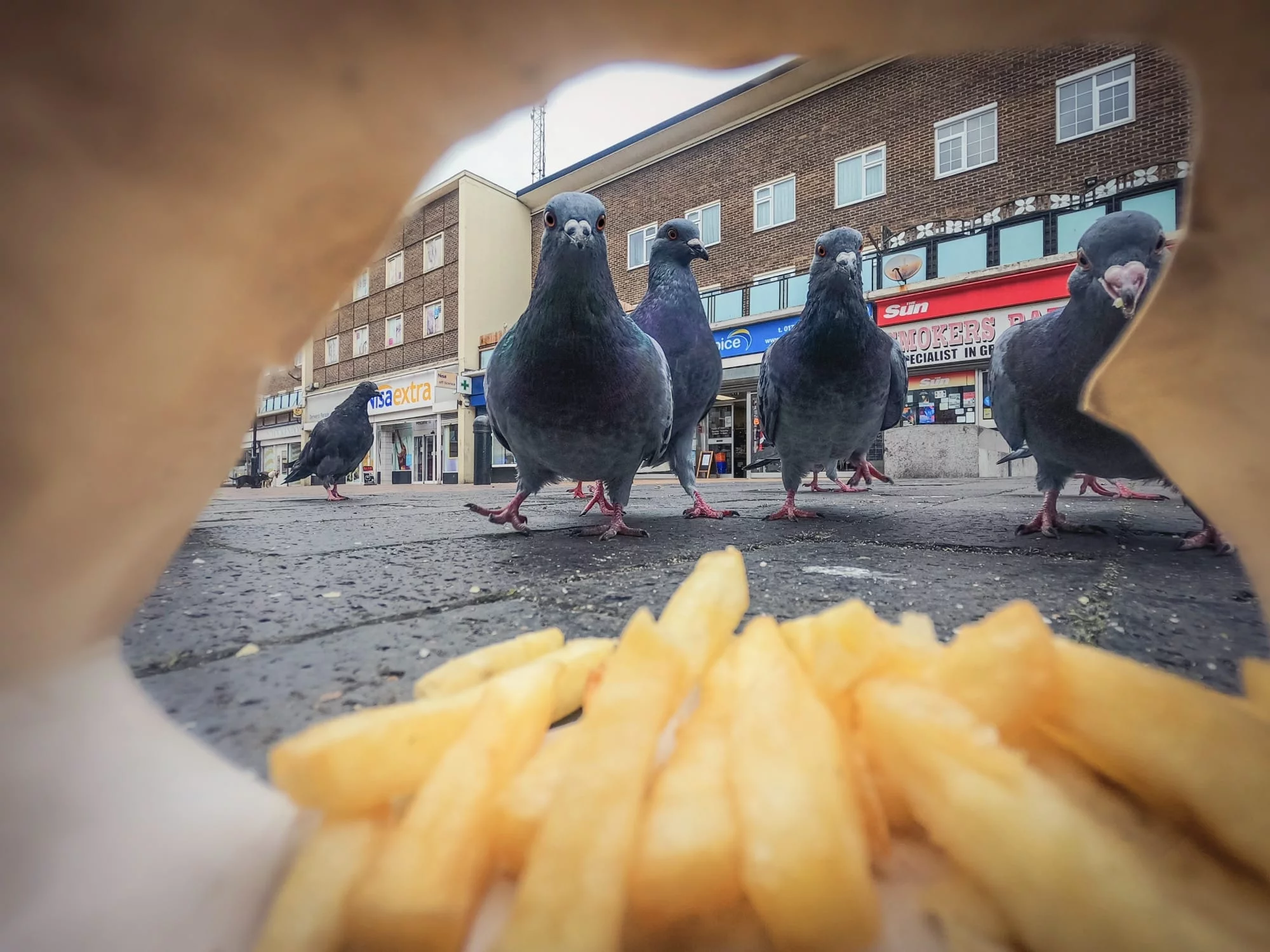 bwpa 1 ojFQC6