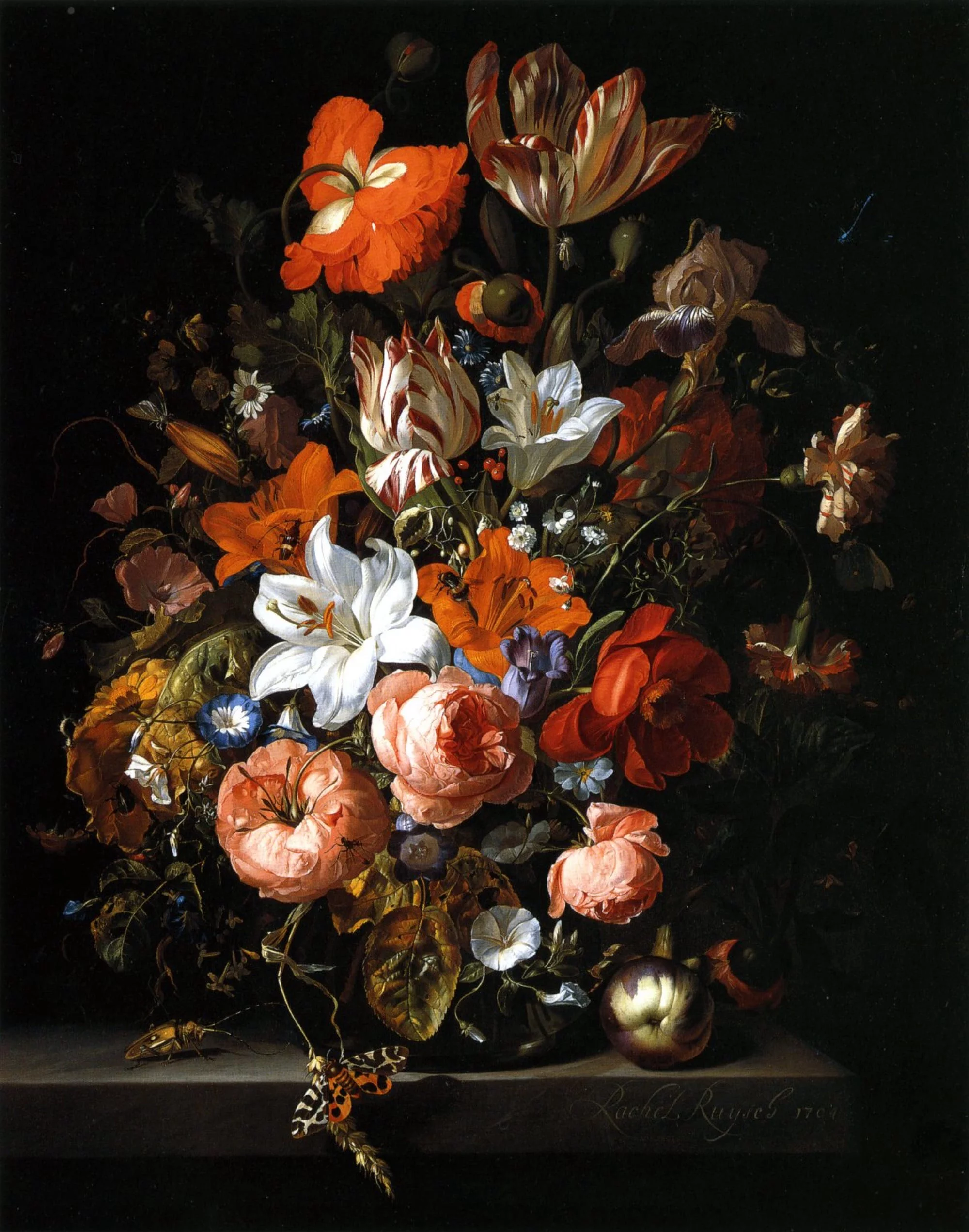 ruysch 3 LGdCE4