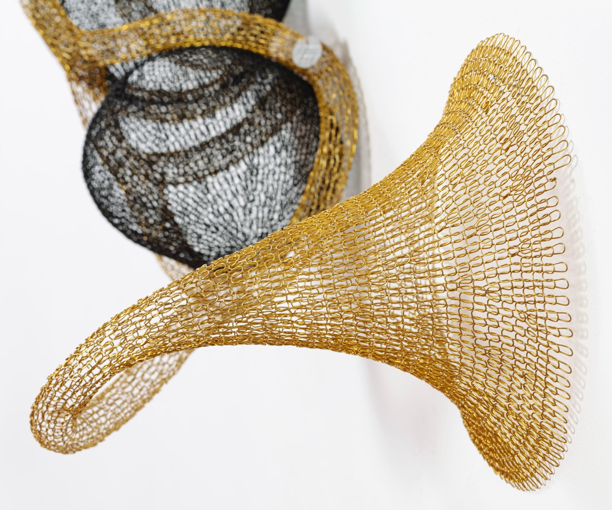 Caio Marcolini 10