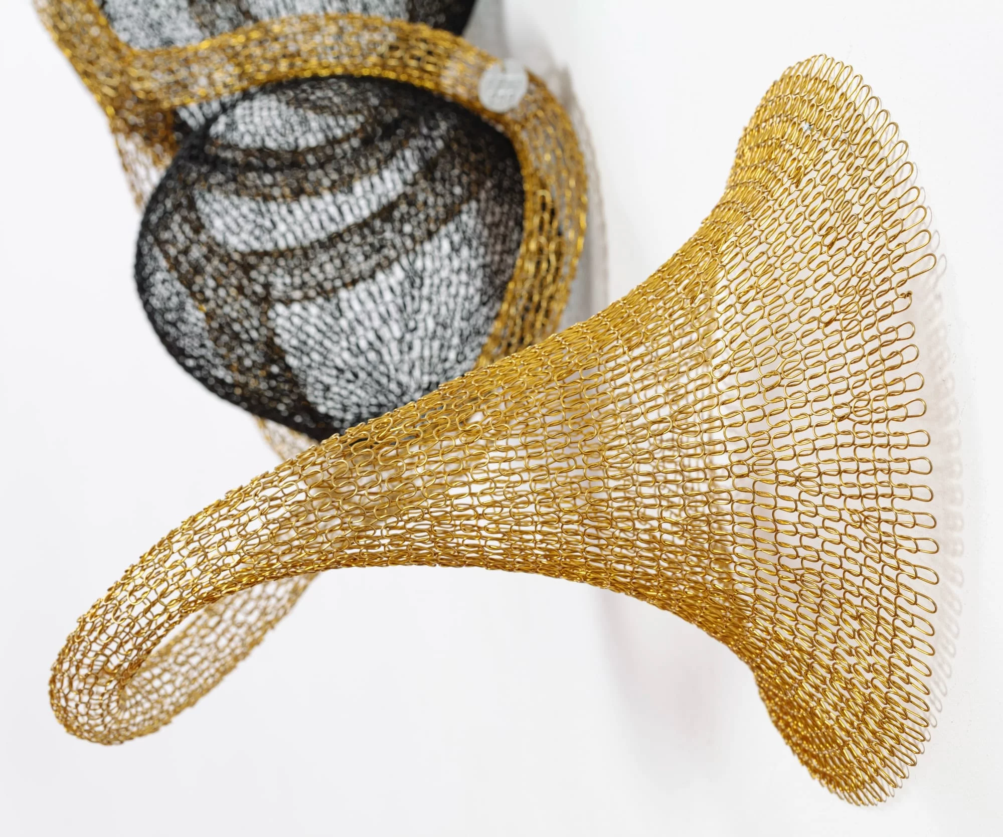 Caio Marcolini 10