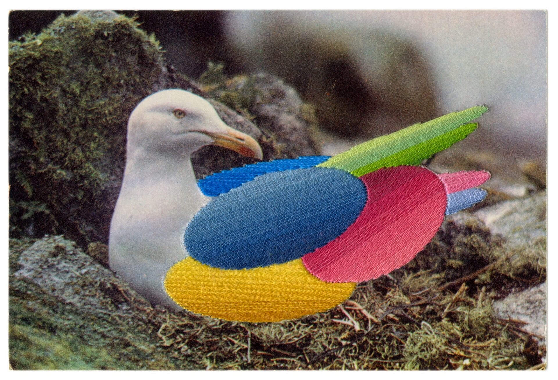 Julie Cockburn Plumage 1 2019 hand embroidery on found postcard