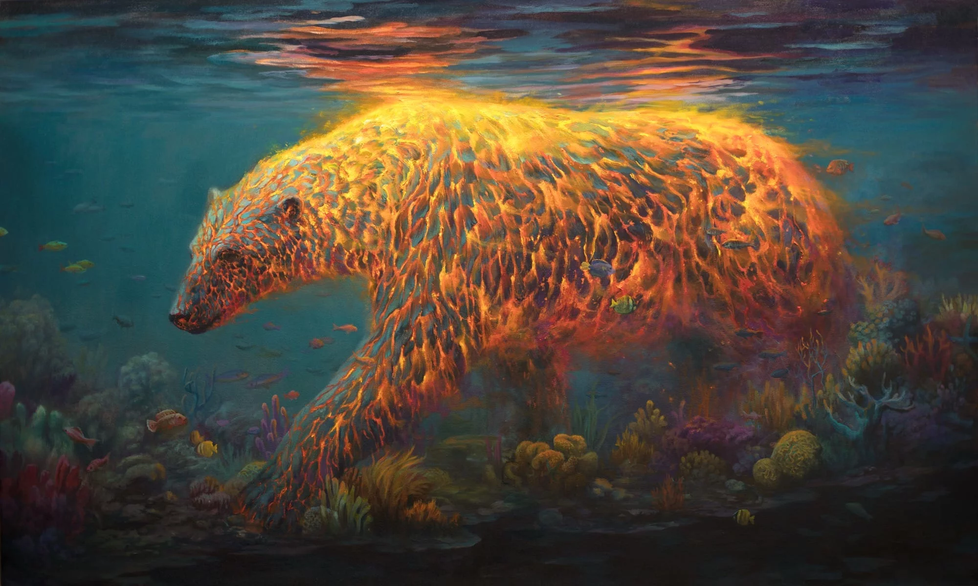 wittfooth 6 cXCwFw