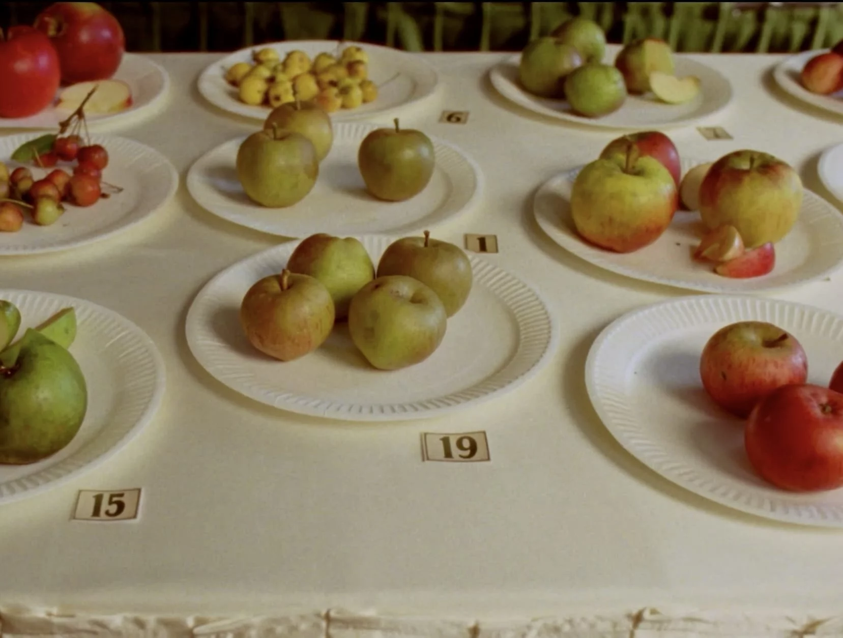 apples 3