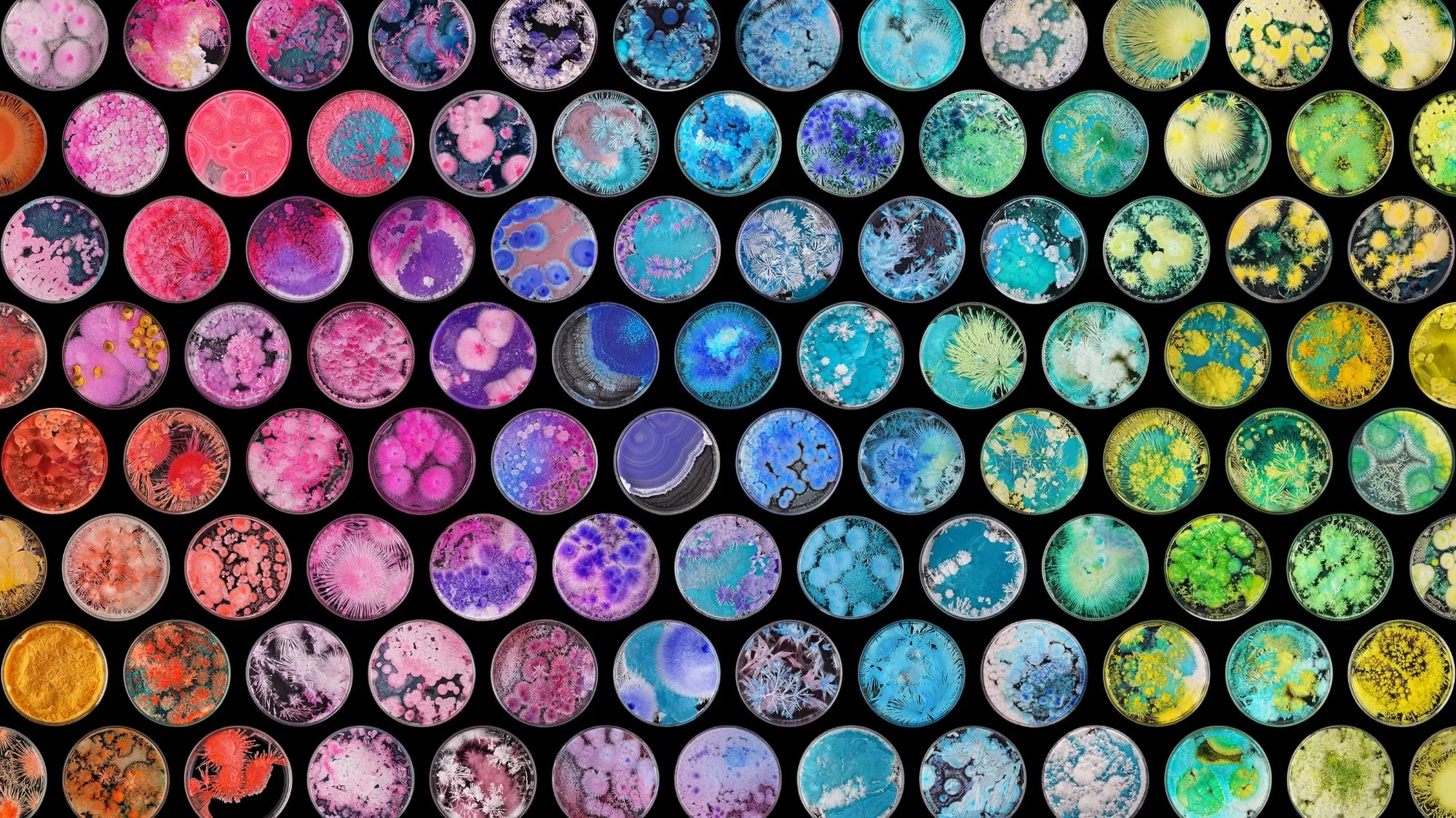 cyrstal 1