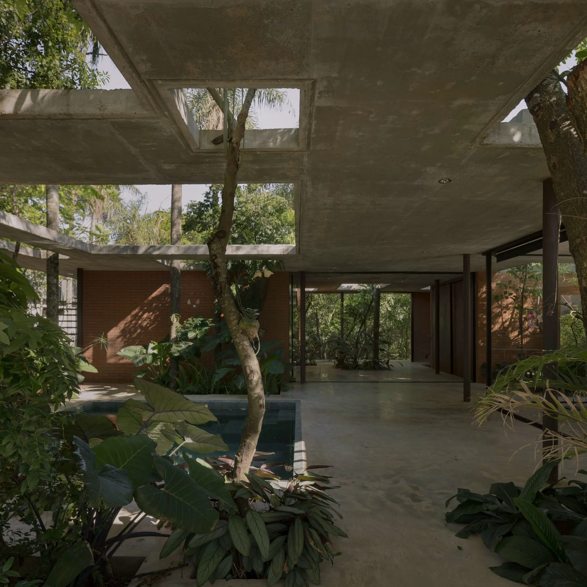 bosque casa 2 fHpEWT