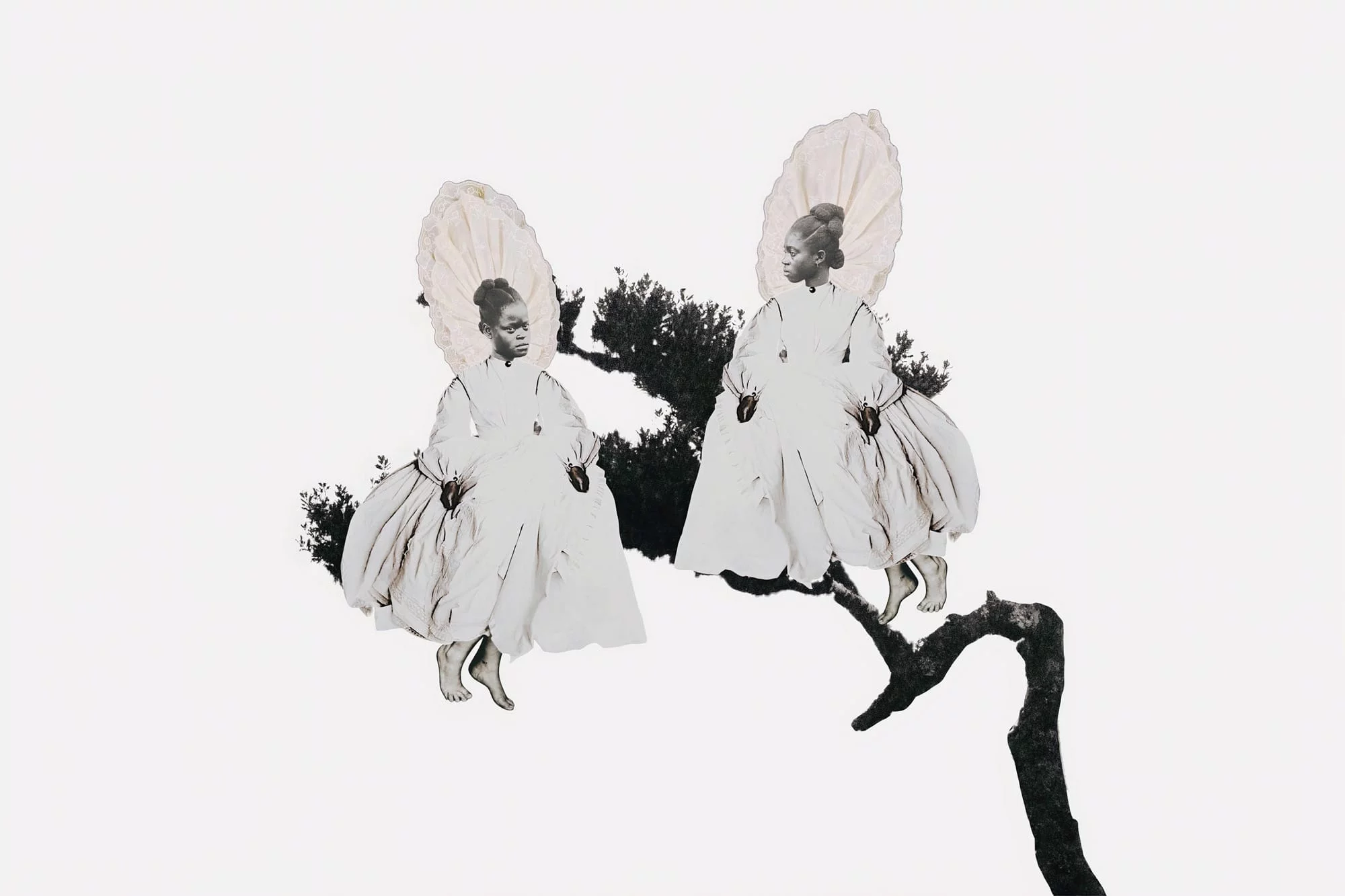 moropa 5